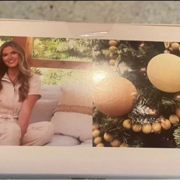 NEW Set of 4 Flocked Velvet Holiday‎ Glass Ornaments - Picture 3 of 4